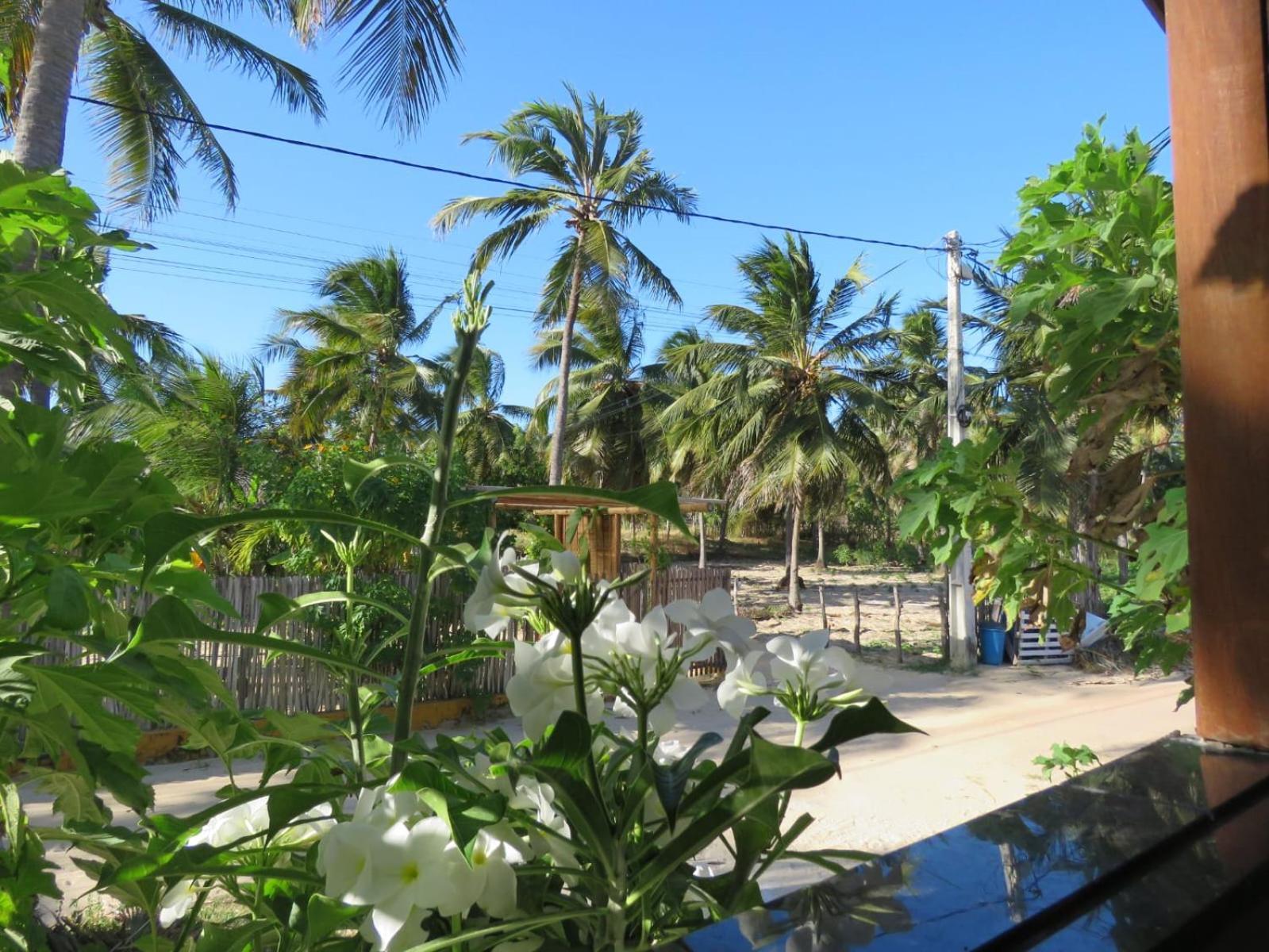 Villa Dos Coqueirais Icaraí Kültér fotó